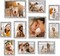 10 Pack of Picture Frame Sets in Multi Sizes - 2pcs 8x10, 4pcs 5x7, 4pcs 4x6 (White)